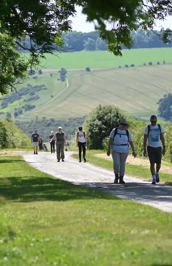 Pocklington School pupils on the School Walk on the Wolds